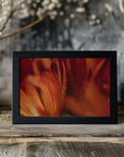 Plakat - Red Flowers 02 - Admen.dk