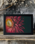 Plakat - Red Flowers 27 - Admen.dk