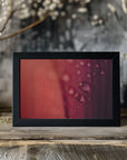 Plakat - Pink Flowers 30 - Admen.dk