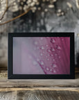 Plakat - Pink Flowers 33 - Admen.dk