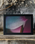 Plakat - Pink Flowers 011