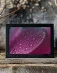 Plakat - Pink Flowers 13 - Admen.dk