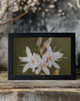 Plakat - White Flowers 10