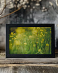 Plakat - Summer Flowers 40 - Admen.dk