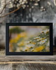 Plakat - Summer Flowers 43 - Admen.dk