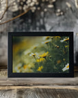 Plakat - Summer Flowers 44 - Admen.dk