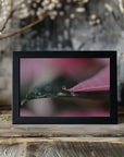 Plakat - Summer Flowers 61 - Admen.dk