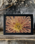 Plakat - Summer Flowers 80 - Admen.dk