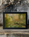 Plakat - Green Plants 11 - Admen.dk