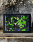 Poster - Warm Abstracts 82