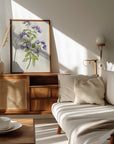 Plakat - Oregano vintage