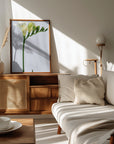 Poster - White freesia