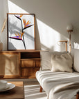 Poster - Bird of paradise in black