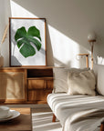 Plakat - Plants 3