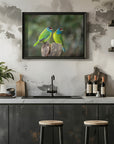 Plakat - Blue-throated barbet