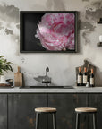 Poster - Pink peony IV