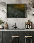 Plakat - Corn Fields 02 - Admen.dk