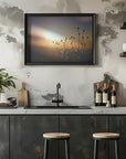 Plakat - Morning Grass Filelds 15 - Admen.dk