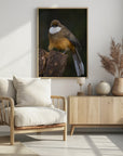 Plakat - White-throated laughingthrush