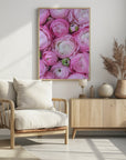 Plakat - Pink ranunculus