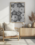 Plakat - Scattered ranunculus grayscale II