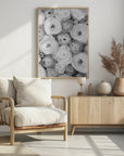 Plakat - Scattered ranunculus grayscale I