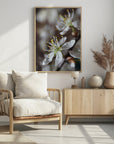 Plakat - Spring blooms I