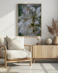 Poster - Spring blooms II