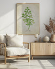 Poster - Parsley vintage