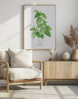 Poster - Basil I