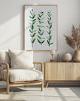 Poster - Watercolor eucalyptus parvifolia