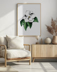 Plakat - White magnolia