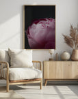 Poster - Moody pink peony II