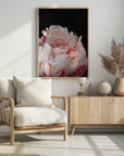 Plakat - Blush peony VIII