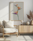 Plakat - Bird of paradise