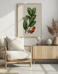 Poster - Botany Arbutus Unedo