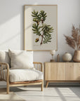Plakat - Botany Quercus Pyrenaica