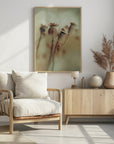 Plakat - Seed stock