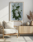 Poster - Bluma hydrangea bouquet