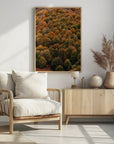 Plakat - Autumn Forest 04 - Admen.dk