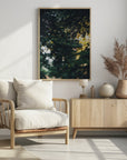 Plakat - Water reflection of trees - Admen.dk