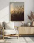 Plakat - Morning Grass Filelds 08 - Admen.dk