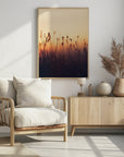 Plakat - Sunset Grass Filelds 05 - Admen.dk