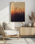 Plakat - Sunset Grass Filelds 06 - Admen.dk