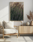 Plakat - Lavender - Admen.dk
