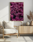 Plakat - Pink Flowers 47 - Admen.dk