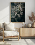 Plakat - White Flowers 14 - Admen.dk