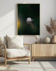 Plakat - White Flowers 17 - Admen.dk