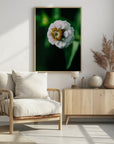 Plakat - White Flowers 19 - Admen.dk