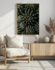 Plakat - Green Plants 5 - Admen.dk